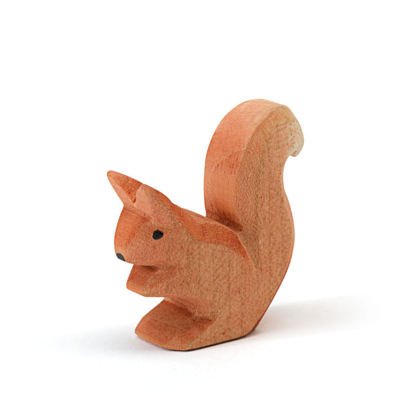 Sitzendes Eichhörnchen von Ostheimer_16602
