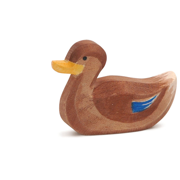 Schwimmende Ente von Ostheimer_13212