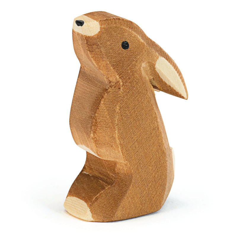 Hase Ohr tief von Ostheimer_15004
