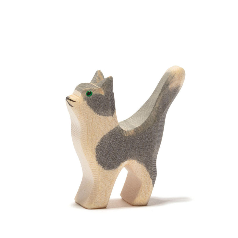 Kleine Katze mit gehobenem Kopf von Ostheimer_11407
