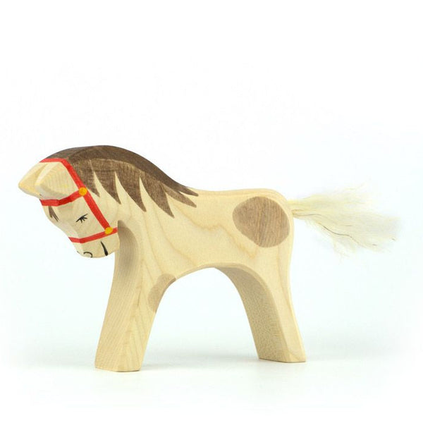 Reitpferd von Ostheimer_10802