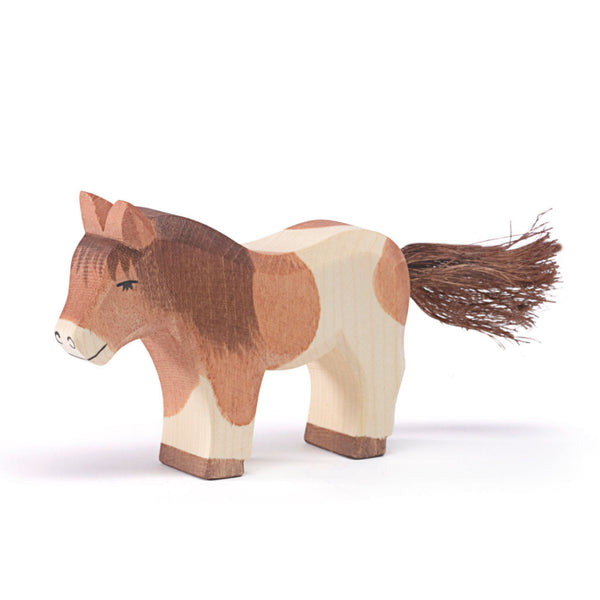 Stehendes Shetland Pony von Ostheimer_11303