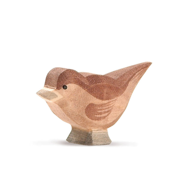 Spatz von Ostheimer_16808
