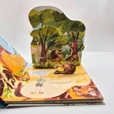 SCIENCE POPS: Jane Goodall von Elizabeth Cranford und Magda Brol_Fischer Sauerländer_Seitenansicht01