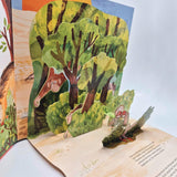 SCIENCE POPS: Jane Goodall von Elizabeth Cranford und Magda Brol_Fischer Sauerländer_Seitenansicht02