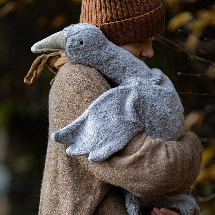 Kind mit großer grauer Senger-Gans