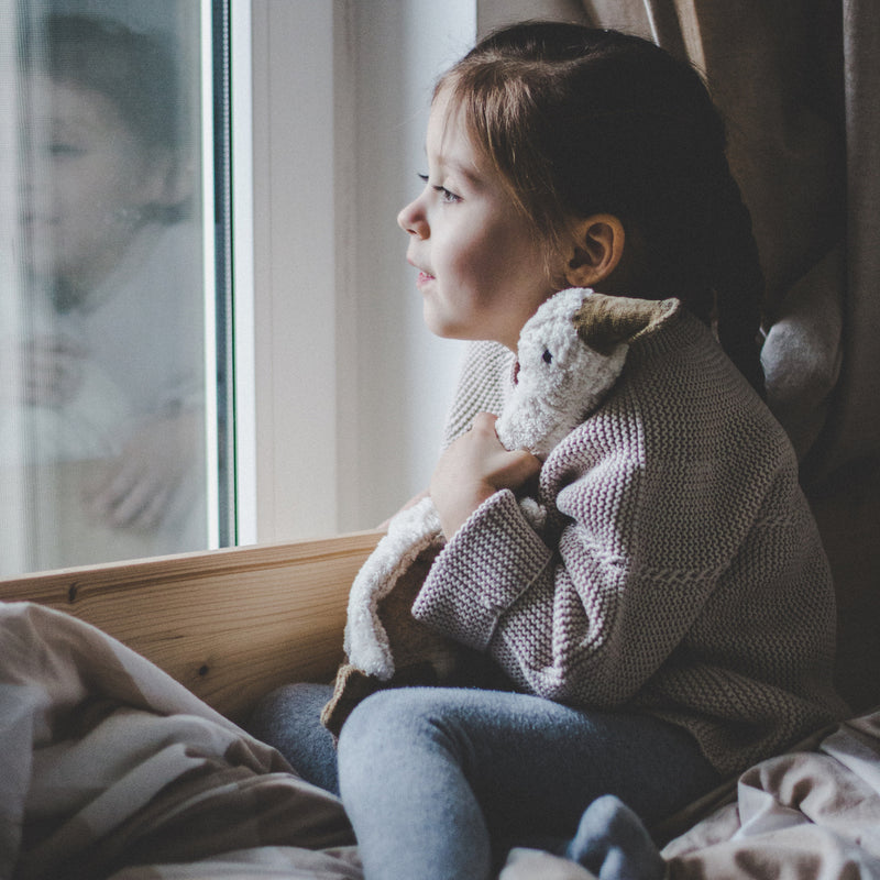 Mädchen an Fenster mit kleiner weißer Gans von Senger Naturwelt