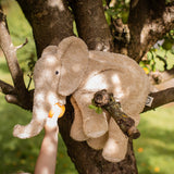 Großer Elefant Leinen von Senger Naturwelt im Baum sitzend