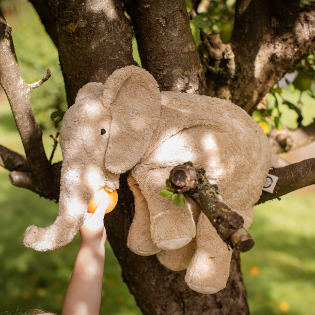 Großer Elefant Leinen von Senger Naturwelt im Baum sitzend