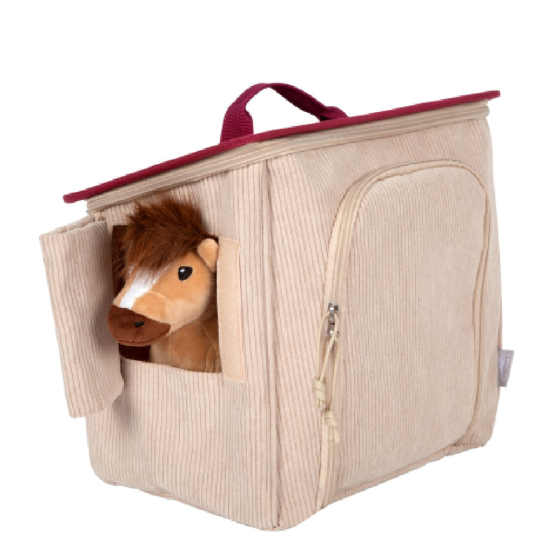 Pferd schaut aus small foot Stall