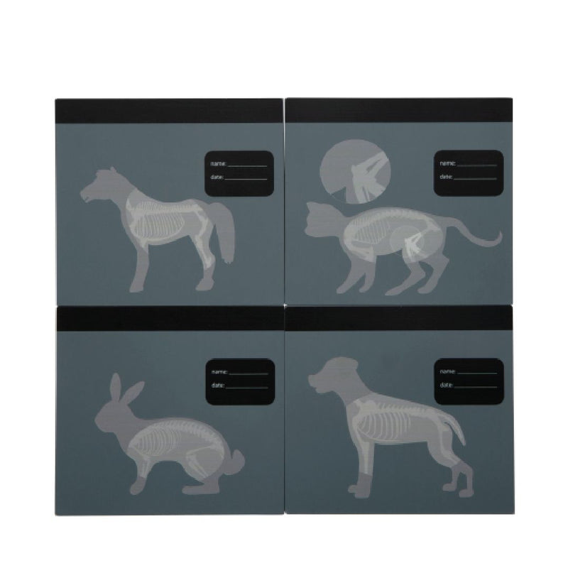 4 Röntgenbilder von small foot Tierarzt-Tasche mit Hase und umfangreichem Tierarzt-Zubehör