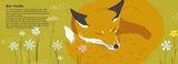 So schlafen die Tiere von marie Stumpfova und Jiri Dvoral_Moritz_Seitenansciht01
