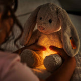 Hase Hoppie | Light at Night