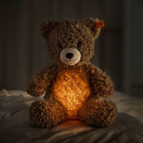 Teddybär Caspar | Light at Night