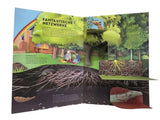 Wissenswelten. Bäume von Gail Armstrong_DK Verlag_Seitenansicht02