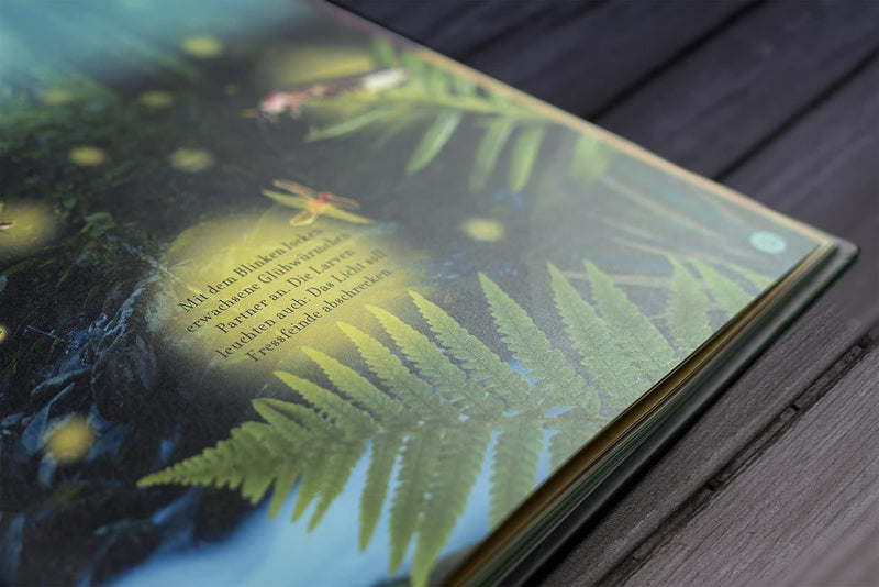 Wundervolle Reise durch die Nacht von DK Verlag_Detail05