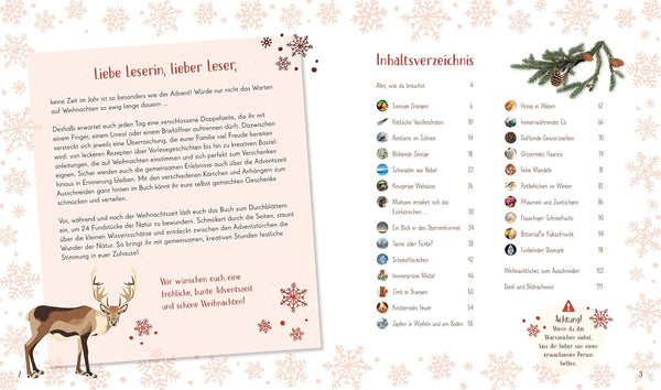 Wundervolle Welt Adventskalender von Claudia Wagner und Carola Kessel_DK Verlag_Seitenansicht01