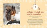 Wundervolle Welt Adventskalender von Claudia Wagner und Carola Kessel_DK Verlag_Seitenansicht03