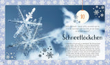 Wundervolle Welt Adventskalender von Claudia Wagner und Carola Kessel_DK Verlag_Seitenansicht05