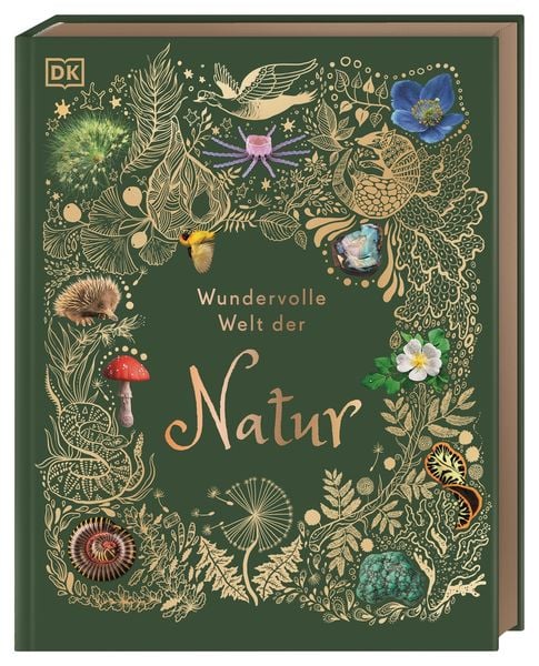 Wundervolle Welt der Natur von Ben Hoare_DK Verlag Dorling Kindersley_Buchcover