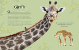 Wundervolle Welt der Tiere von Ben Hoare_DK Verlag Dorling Kindersley_Seitenansicht01