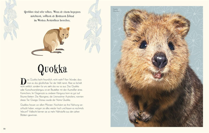 Wundervolle Welt der Tiere von Ben Hoare_DK Verlag Dorling Kindersley_Seitenansicht05