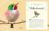 Wundervolle Welt der Vögel von Ben Hoare_D Verlag_Seitenansicht07