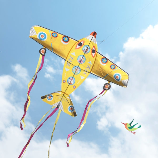 Drachen "Maxi Flugzeug" von Djeco_am Himmel