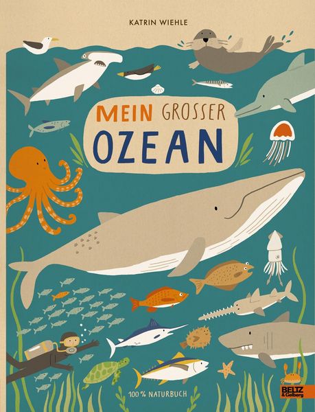 Kinderbuch "Mein großer Ozean" von Katrin Wiehle_Beltz & Gelberg_Buchcover