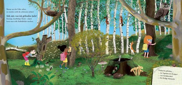 Sachbilderbuch "Schau dich um in der Natur - Der Wald" von Moira Butterfield und Jesús Verona_Penguin Junior_Seitenansicht 3