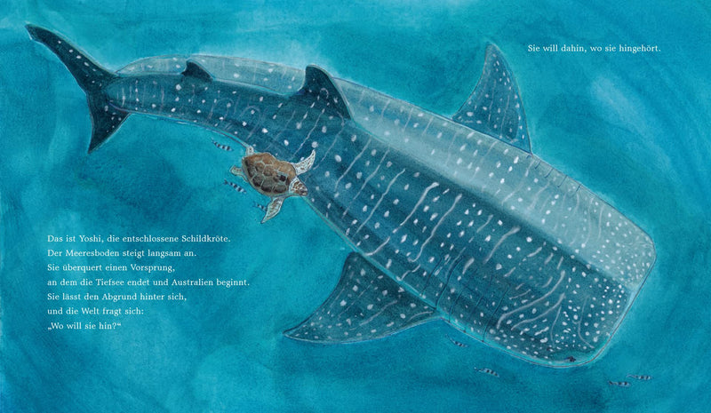 Bilderbuch "Yoshi und das Meer. Die unglaubliche Reise einer Meeresschildkröte" von Lindsay Moore_CalmeMara Verlag_Seitenansicht 1