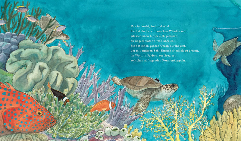 Bilderbuch "Yoshi und das Meer. Die unglaubliche Reise einer Meeresschildkröte" von Lindsay Moore_CalmeMara Verlag_Seitenansicht 6